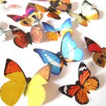 3D naljepnice - leptiri, 24 komada/paket - NOVO