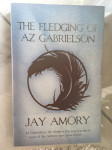 JAY AMORY, The Fledging of Az Gabrielson
