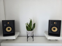 Studijski monitori KRK Rokit 5 G4 (par)