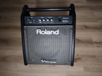 Zvučnik Roland PM-100