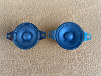 Alnico stari visokotonci