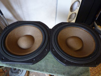Woofer LSP 328 8 ohm  12"