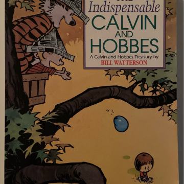 Strip - The Indispensable Calvin and Hobbes