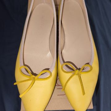 Guliver balerinke, 41