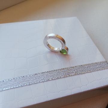 Novi broš ili privjesak za lančić - Pierre Cardin - srebro 925