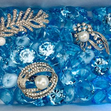 PROFINJENI SJAJNI BROŠEVI