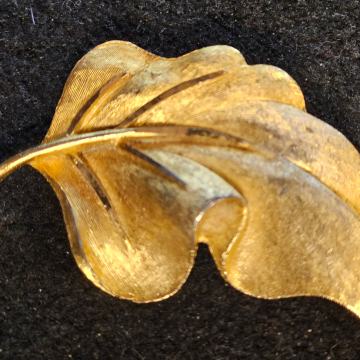 VINTIĐ BROŠ - ZLATNI LIST