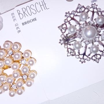 Zlatni i srebrni broš - NOVO