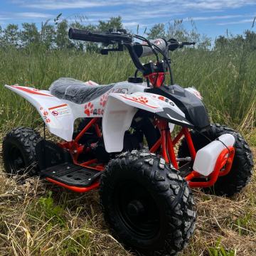 Kayo A50  MINI QUAD - NOVO