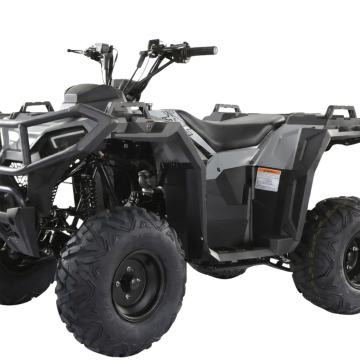 Quad Hammer 125cc