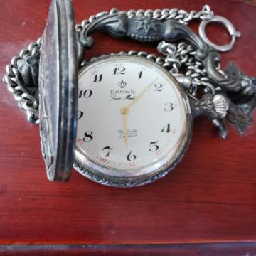 Darwil dzepni sat srebrni nov