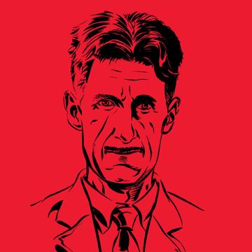 Chrustin & Verdier, Orwell, Fibra = 15 eura