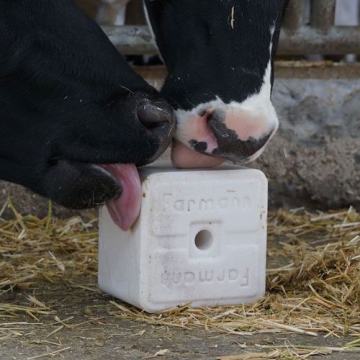 BESPLATNA DOSTAVA PALETE SOLI na adresu - 10% POPUSTA - 700 kg paleta