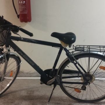 ZEG Pegasus  28” – s košarom
