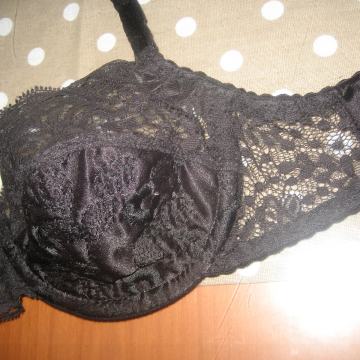 CRNI GRUDNJAK LORMAR  vel. 2