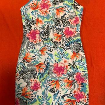 HALJINA GUES BR M ŠARENA