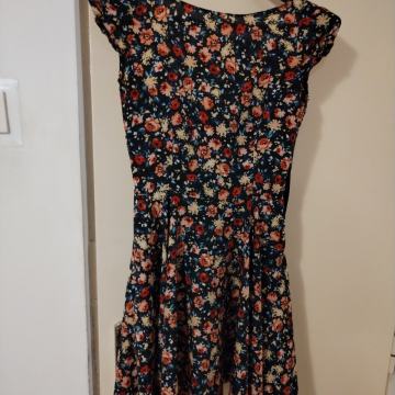 LJETNA KRATKA HALJINICA