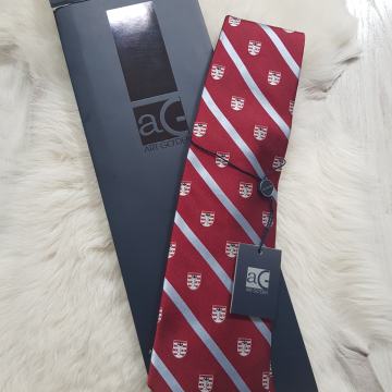 ART GO'DEN kravata - NOVO