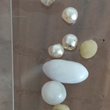 Prirodno drago kamenje ( BISERI)