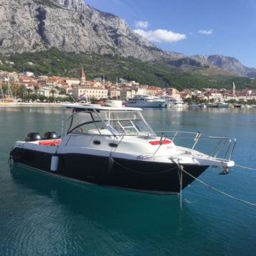 BOSTON WHALER 305 CONQUEST 2005.