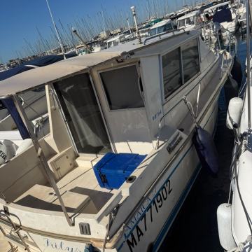 Gib sea Jamaica 27