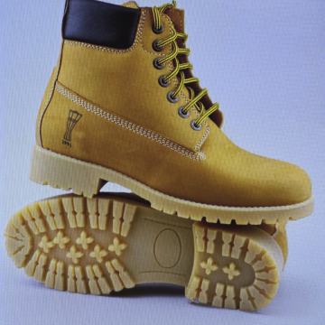 Borovo kožna muška gležnjača, Zenge, Žuta