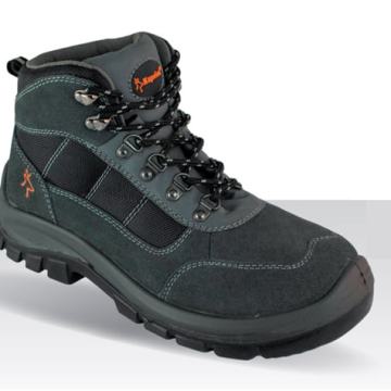 CIPELE DUBOKE NEBRASKA S3 SRC