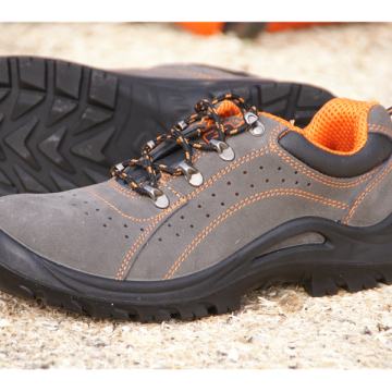 CIPELE OSCAR PLITKE SB-P SRC