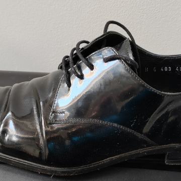 Galileo cipele za odijelo