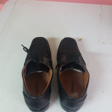 MUŚKE KOŽNE ALPINA CIPELE.