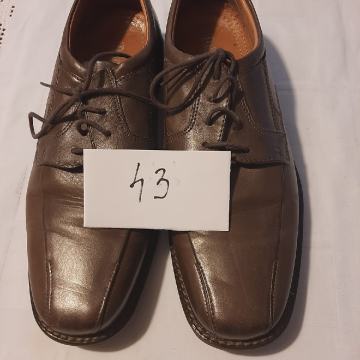 Muške cipele 43