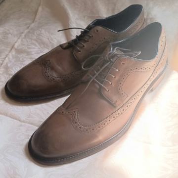 Muške cipele, Aston Grey br.47