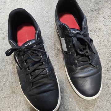 Muške cipele Lacosta