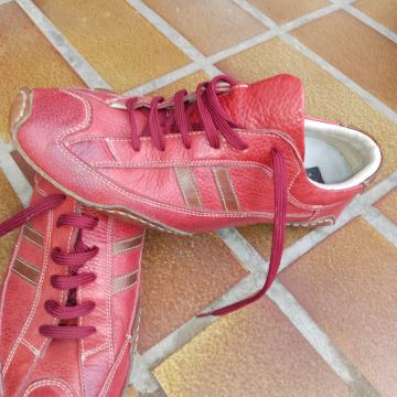 Muške sportske cipele Filanto-povoljno