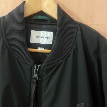 Lacoste Insulated Padded Bomber jakna