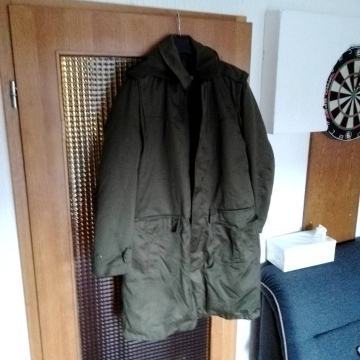 muška vjetrova ,tedika