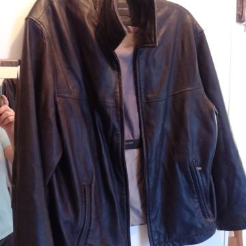 Pierre cardin vel.L/50 kožna kvalitetna podatna jakna ugodna