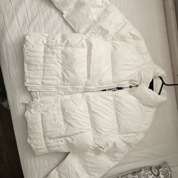 Trapstar Irongate Embossed