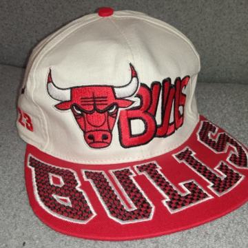 Šilterica Bulls model broj 6