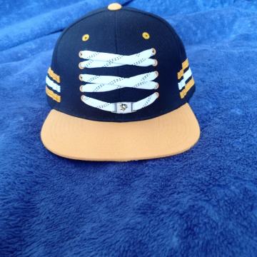 SIlterica NHL Pittsburg Penguins