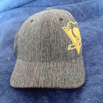 Silterica NHL Pittsburg Penguins