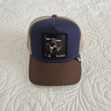 V Bull Navy kapa