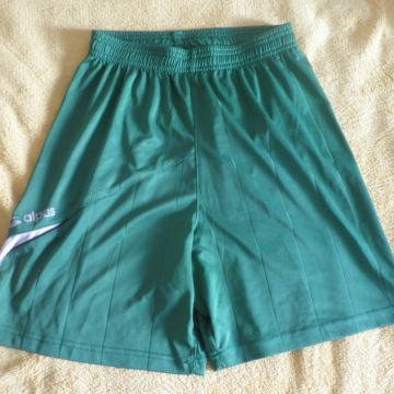 ALPAS - MUŠKE LAGANE KRATKE HLAČE S