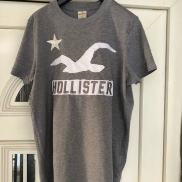 Hollister S