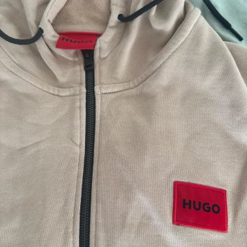 Hugo