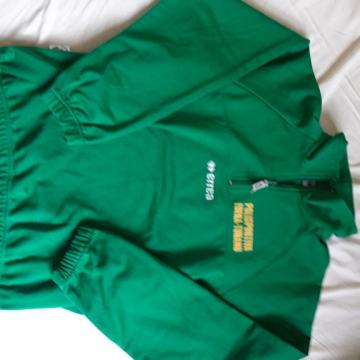 Majica (L) sportska errea