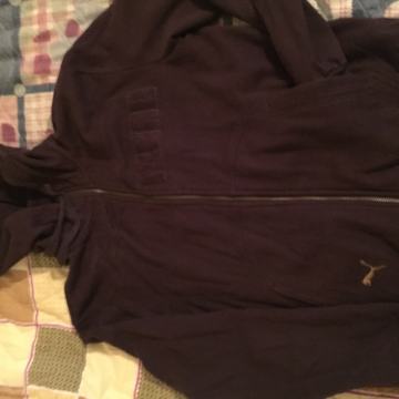 Puma hudica hoodica vel S