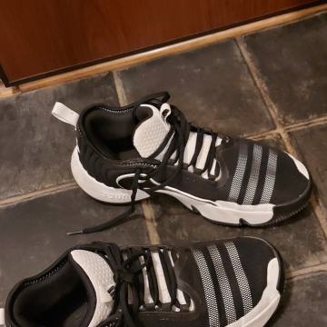 Adidas košarkaške tenisice 42