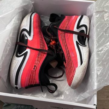 Air Jordan XXXVI (36) Low