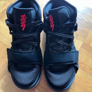 Air Jordan Zion 2 tenisice